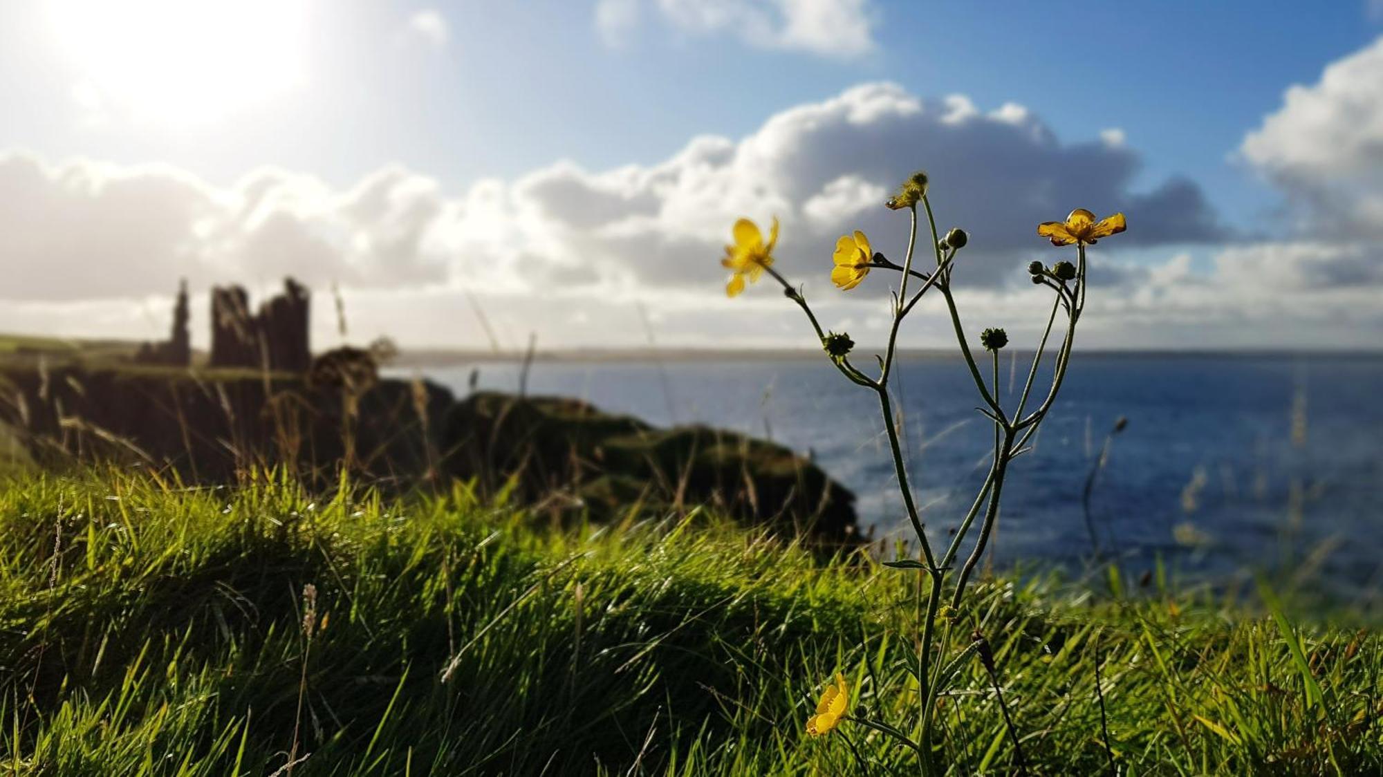 Self-Catering Lighthouse Keeper'S Cottage On The Nc500 ويك المظهر الخارجي الصورة